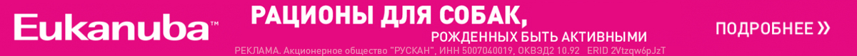 Дрессировка и спорт